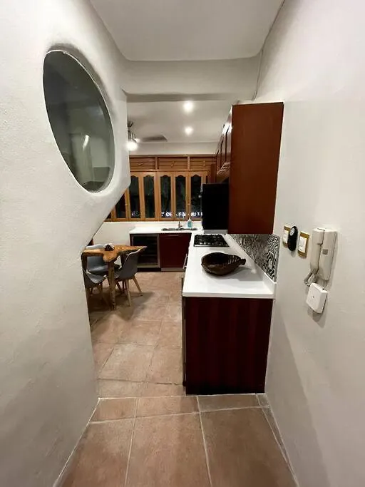 Jungle Meets Modern Condo On 5Th Avenue 普拉亚卡门