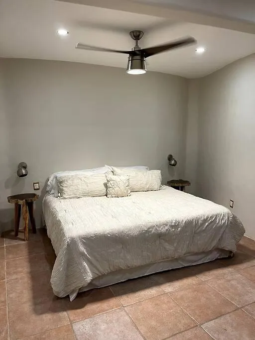 Apartment Jungle Meets Modern Condo On 5Th Avenue Playa del Carmen