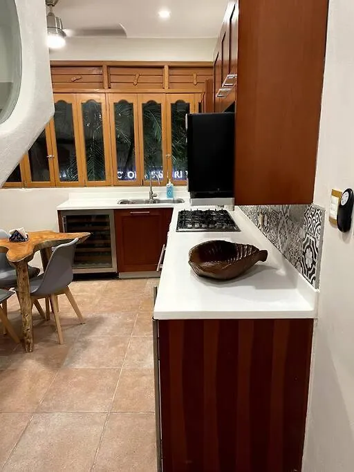 Apartment Jungle Meets Modern Condo On 5Th Avenue Playa del Carmen