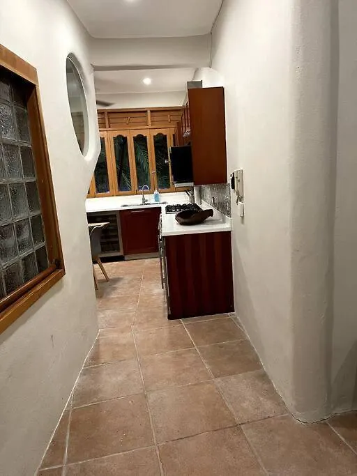 Apartment Jungle Meets Modern Condo On 5Th Avenue Playa del Carmen Mexico
