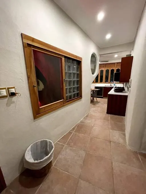 Apartment Jungle Meets Modern Condo On 5Th Avenue Playa del Carmen