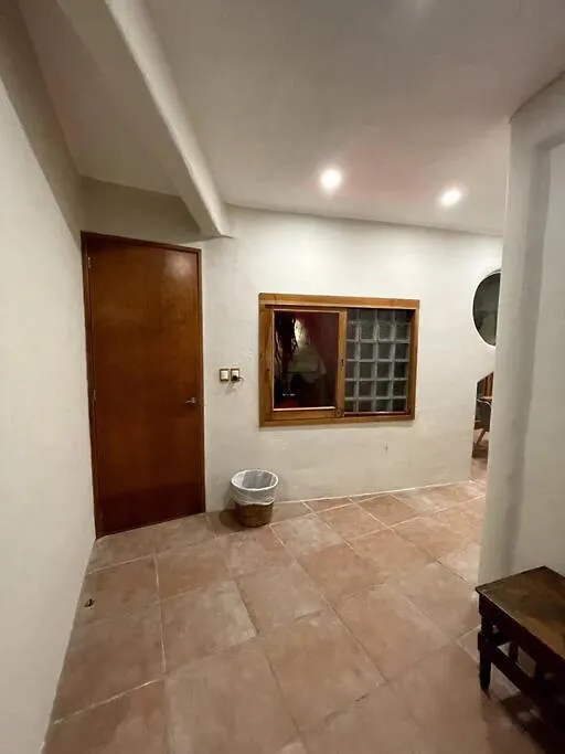 Jungle Meets Modern Condo On 5Th Avenue Playa del Carmen