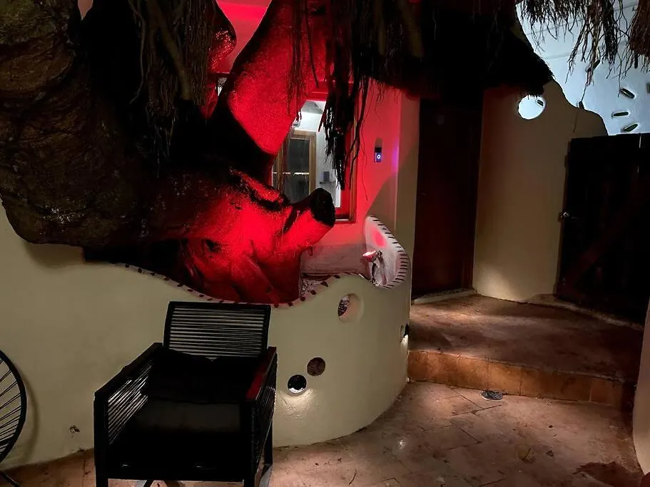 Jungle Meets Modern Condo On 5Th Avenue Playa del Carmen Mexico